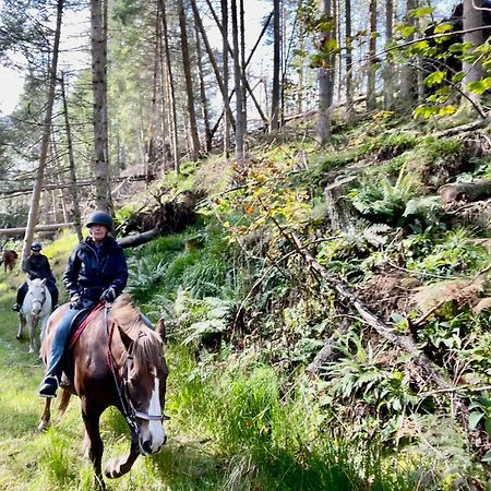 Scottish Equi B&B Lanark Kültér fotó