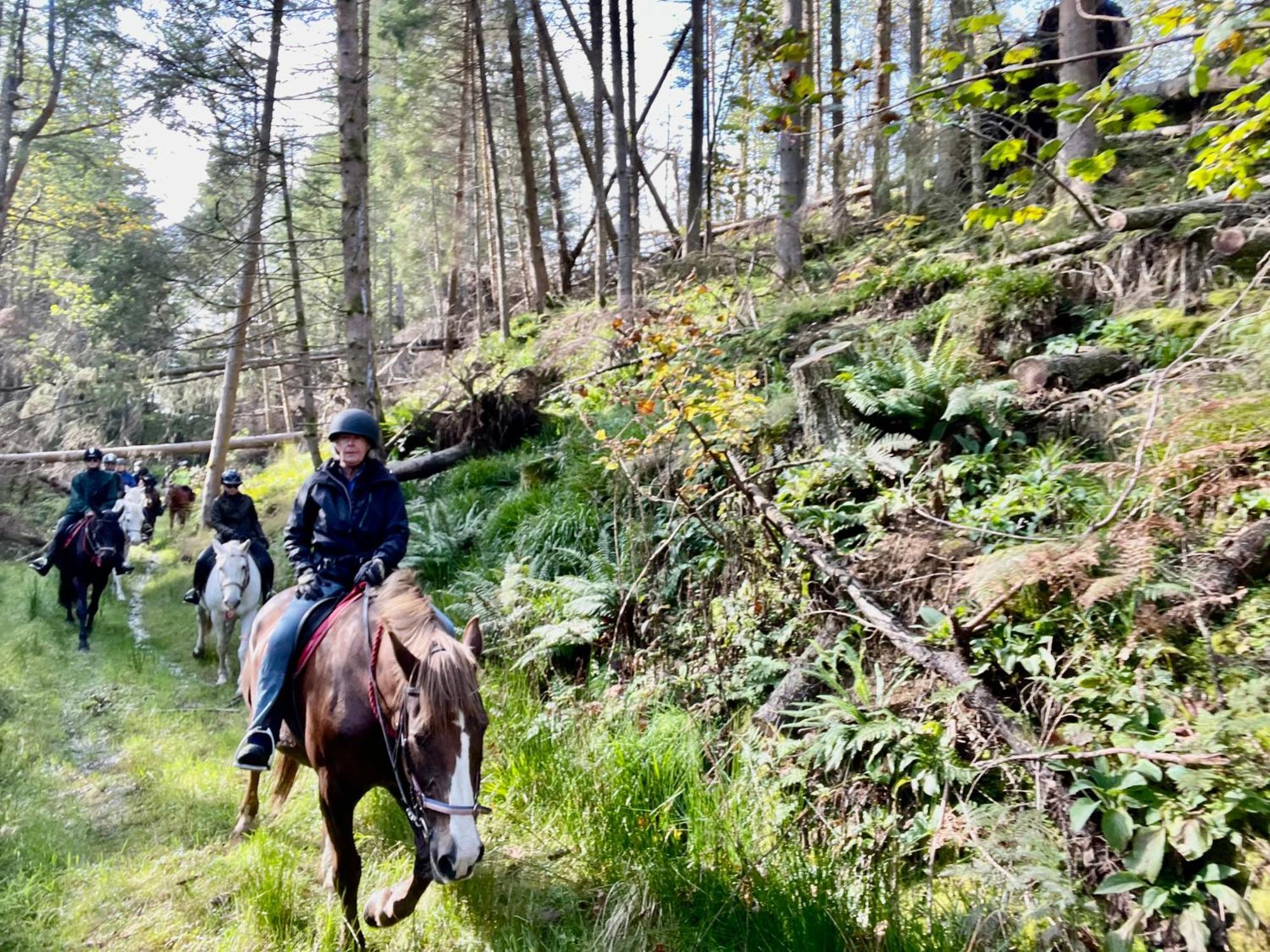 Scottish Equi B&B Lanark Kültér fotó